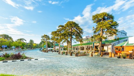 16-18 Μαΐου 2025: Troodos Hotel